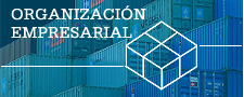 Organizacion